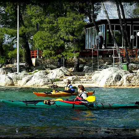 Luxury Spacious In The Heart Of Apartment